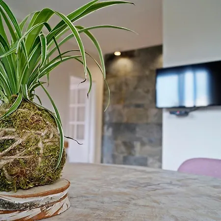 Centrum 7 Appartamento Pisz